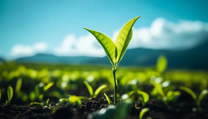 Préjudice écologique et produits phytosanitaires : compétence du juge judiciaire et point de départ de la prescription précisé Préjudice écologique et produits phytosanitaires : compétence du juge judiciaire et point de départ de la prescription précisé